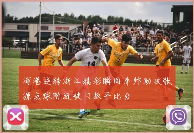 海港逆转浙江精彩瞬间李帅助攻张源点球附近破门扳平比分